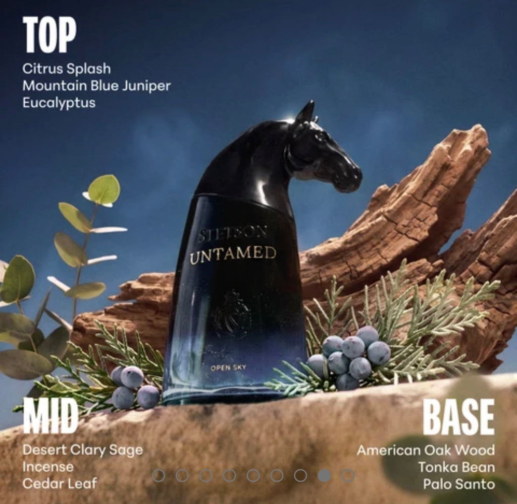 Stetson Untamed Open Sky Cologne