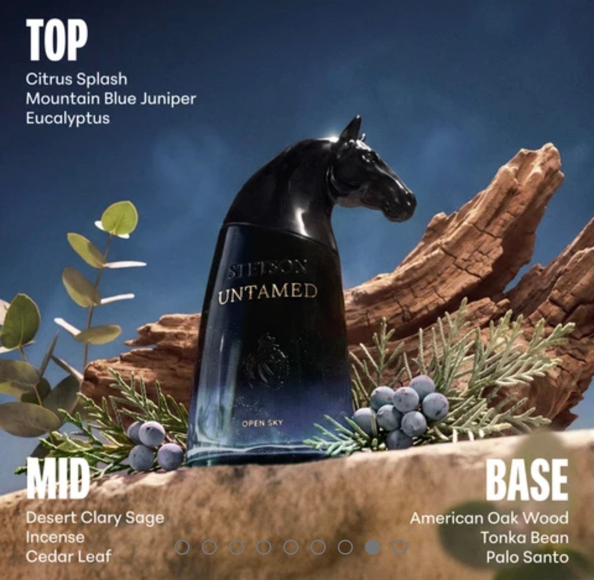 Stetson Untamed Open Sky Cologne