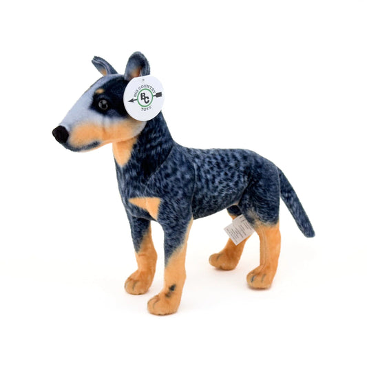 Blue Heeler