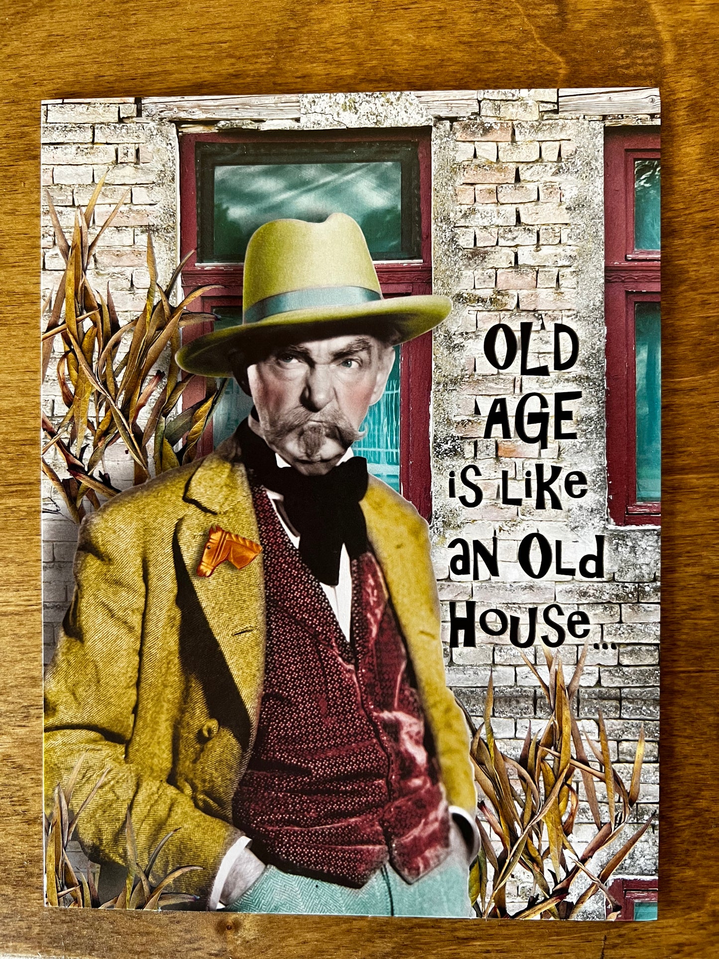 Old Age is Like an Old House Birthday Card