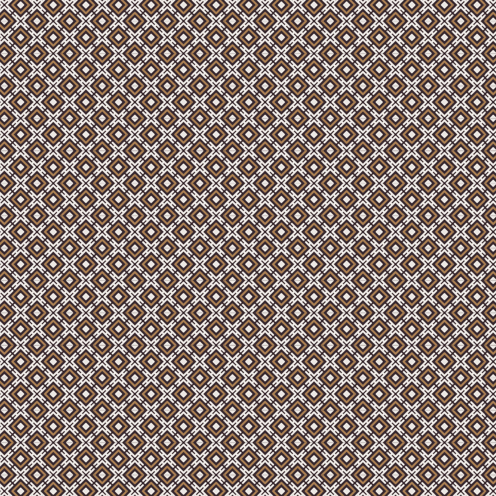 Boys Classic Long Sleeve Shirt - Brown (7042)