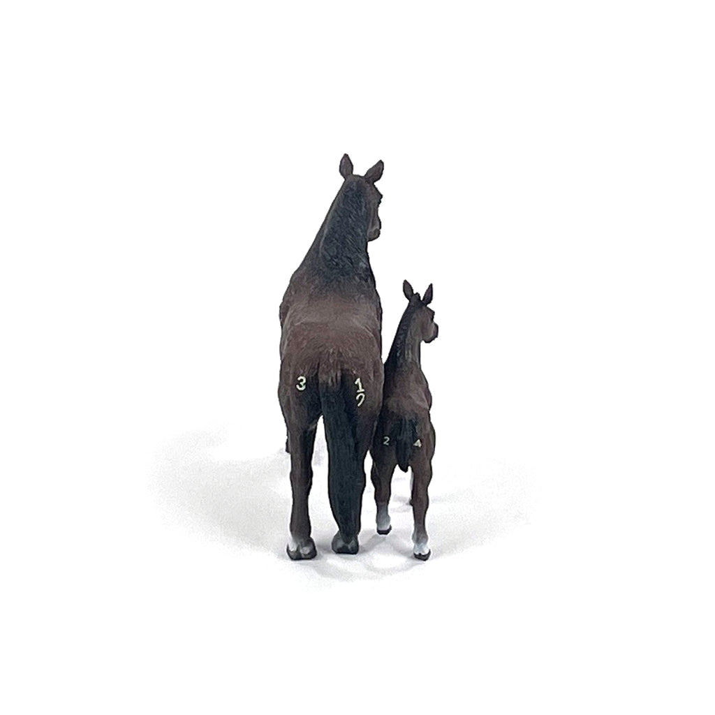 Four Sixes Ranch Quarter Horse Mare & Colt