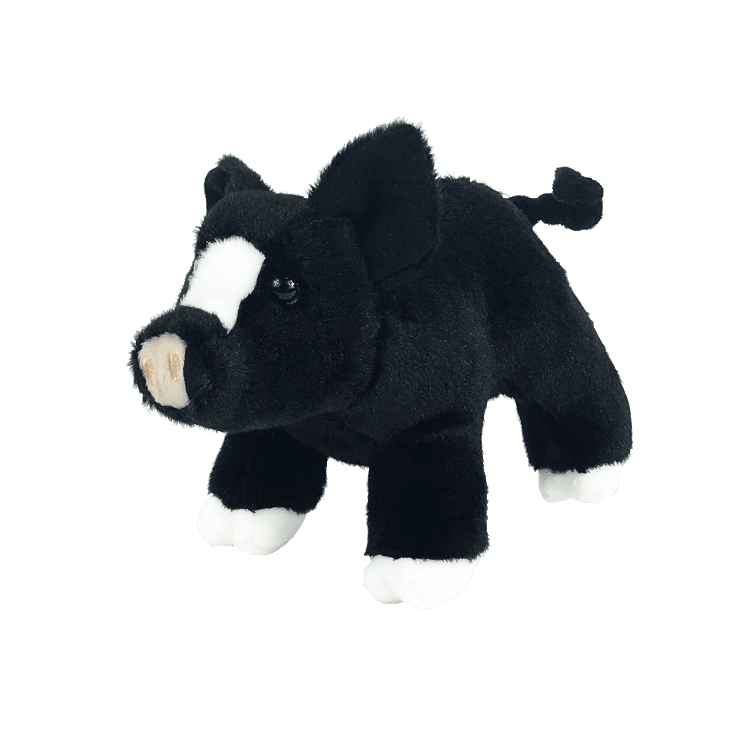 Timmy the Pig