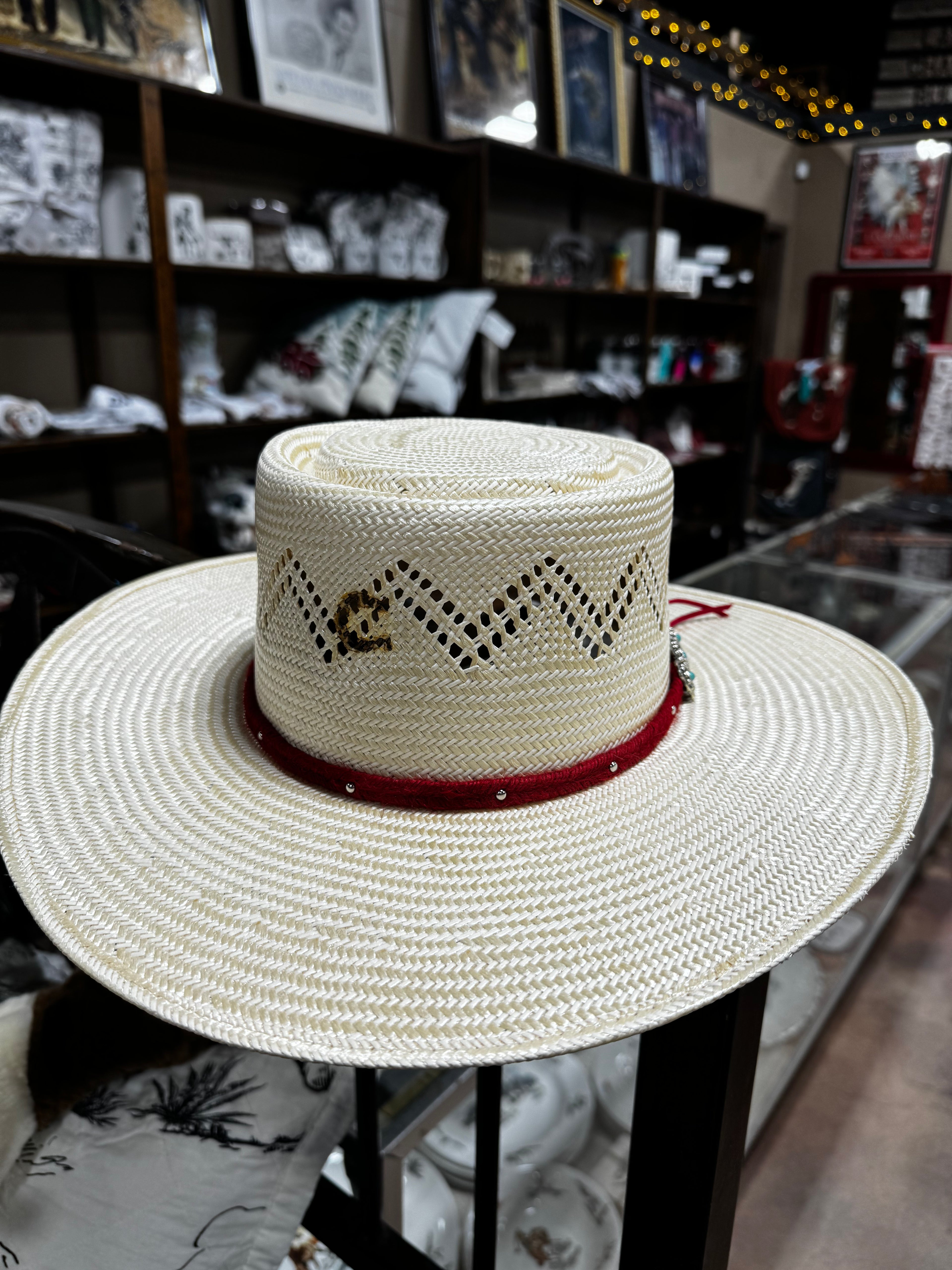 Charlie 1 Horse Painted Borders Straw Hat