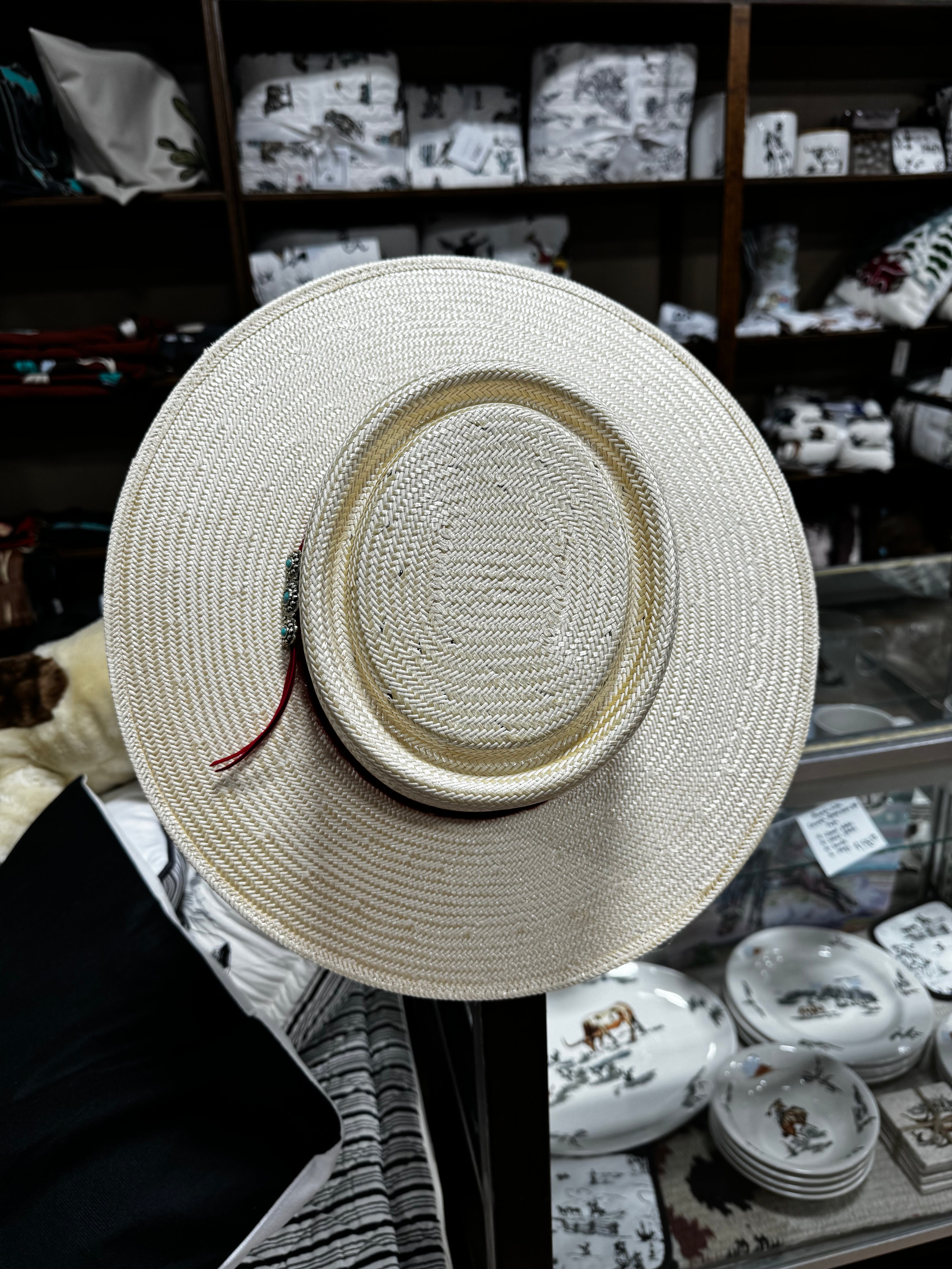 Charlie 1 Horse Painted Borders Straw Hat