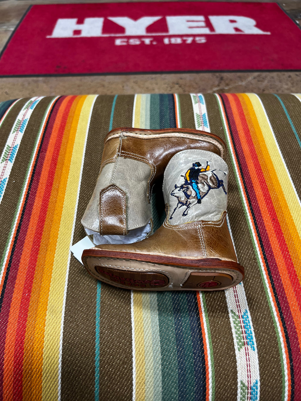 Cow babies 8 Seconds