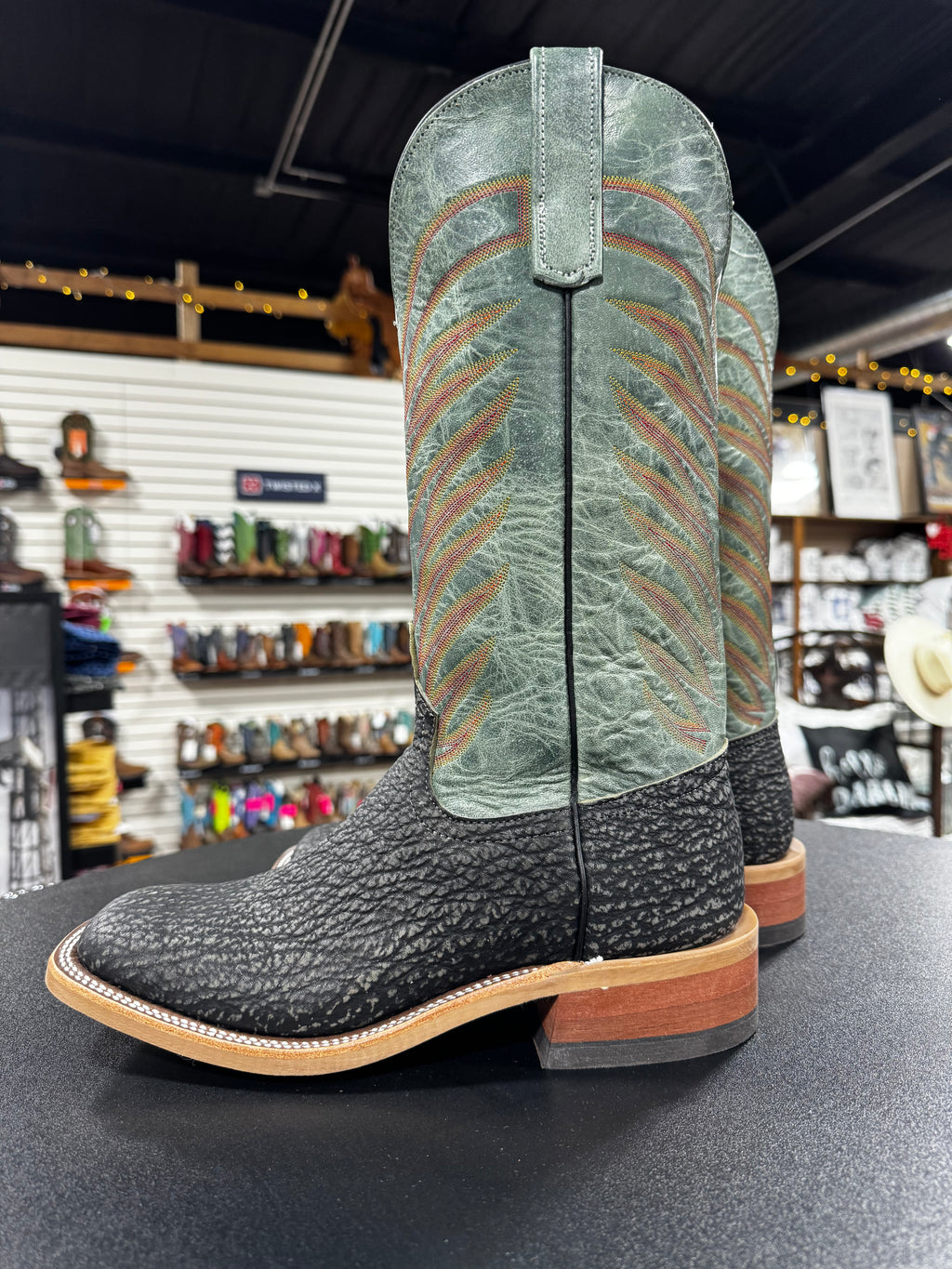 Anderson Bean Black Safari Shark (338540)