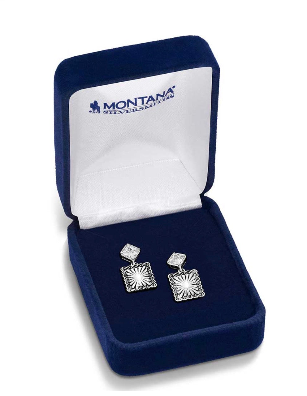 Starlit Canyon Earrings