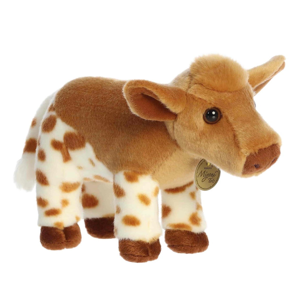 Longhorn Calf
