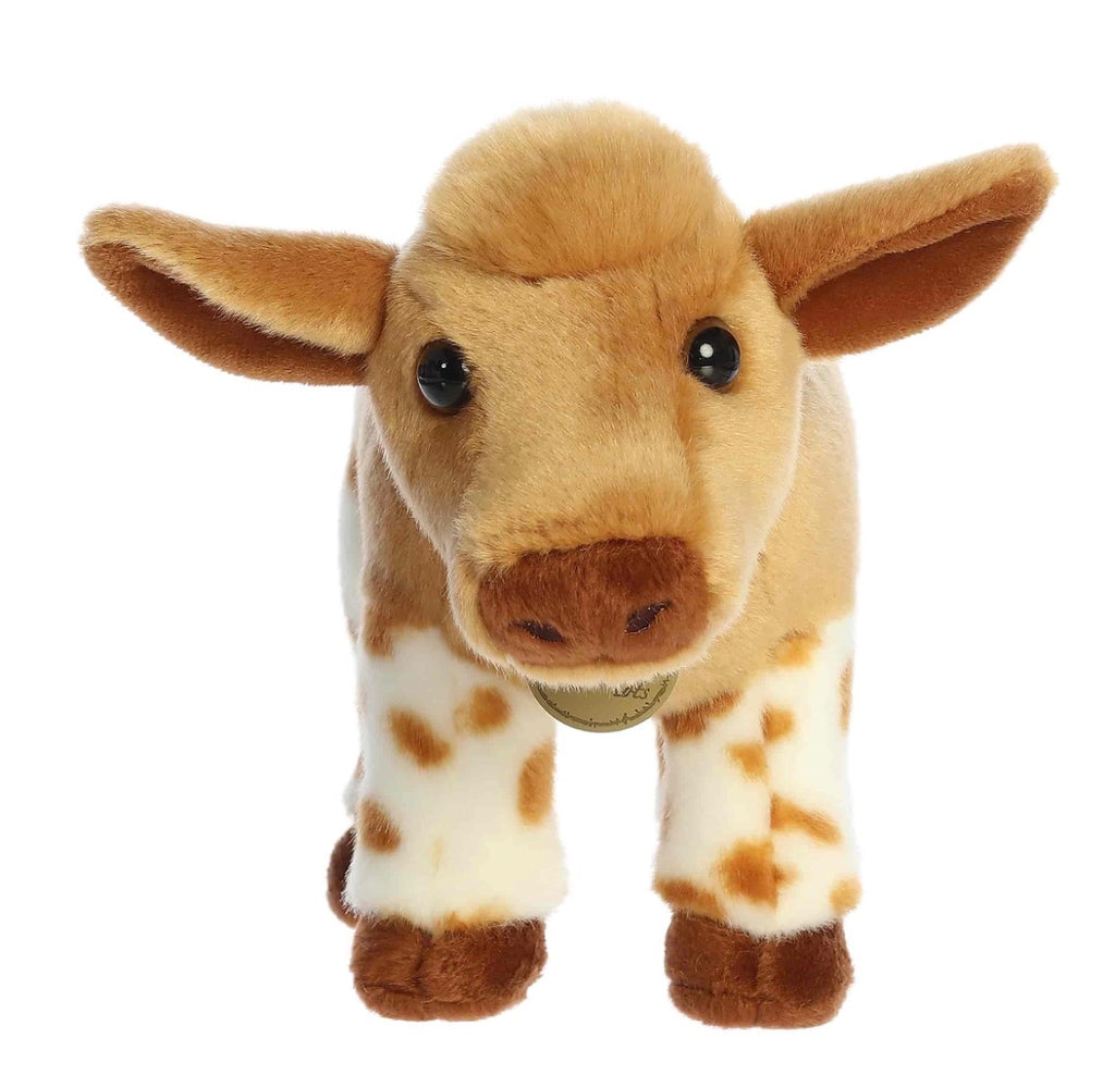 Longhorn Calf