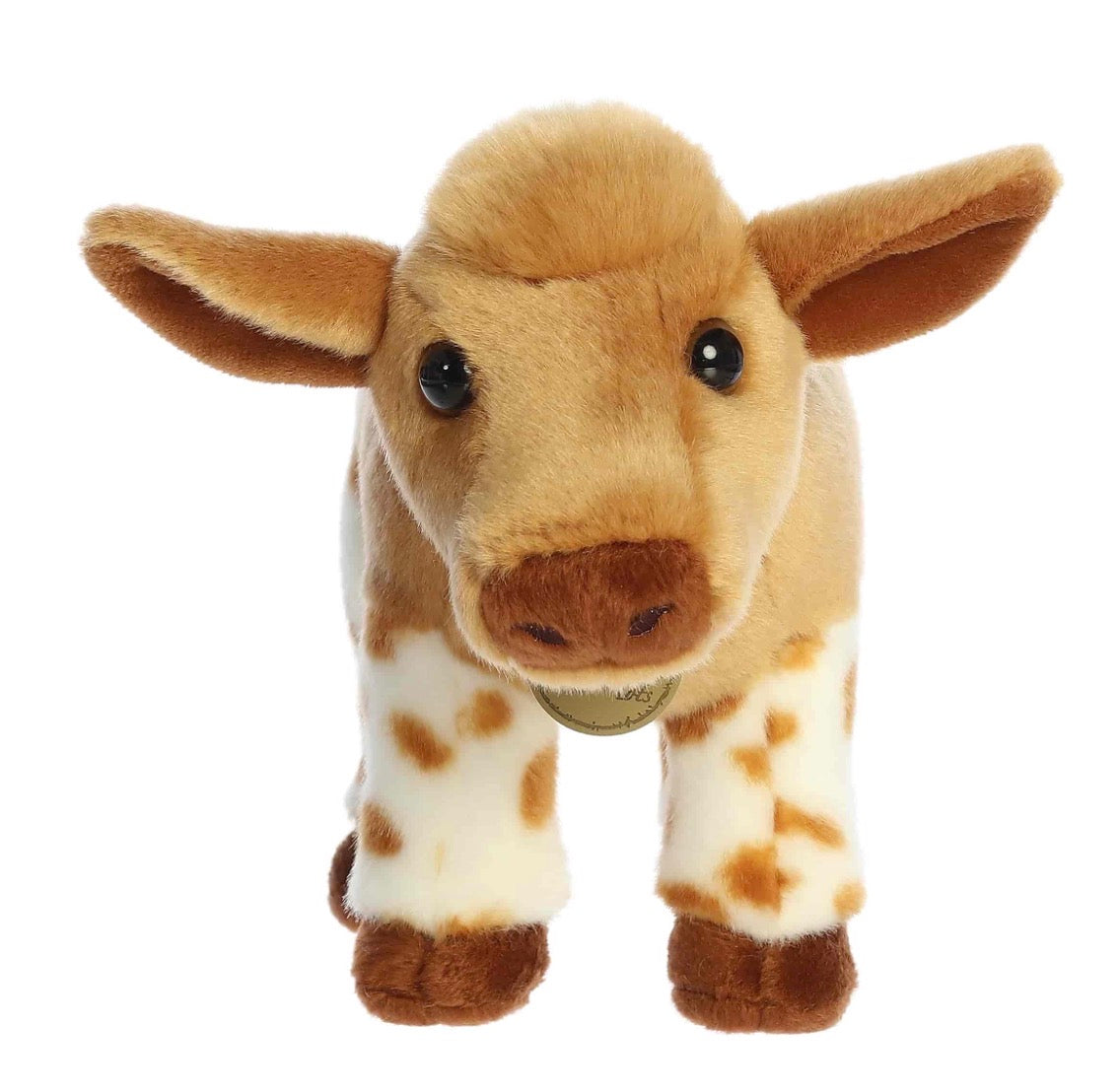 Longhorn Calf