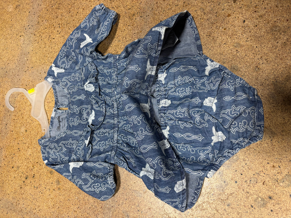 Little Girls Wrangler Denim Dress