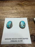The Nez Earrings