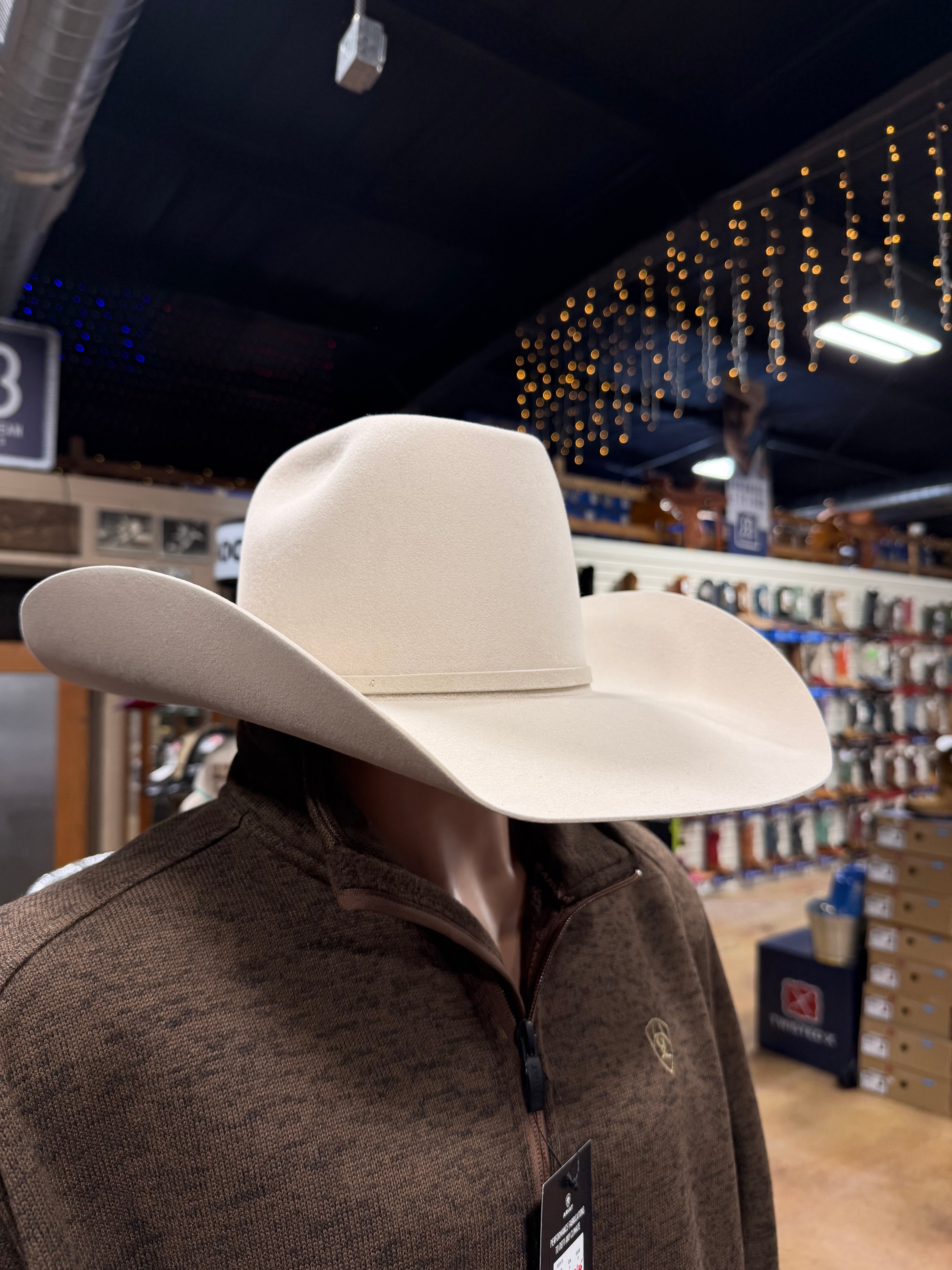 American 10X Silverbelly