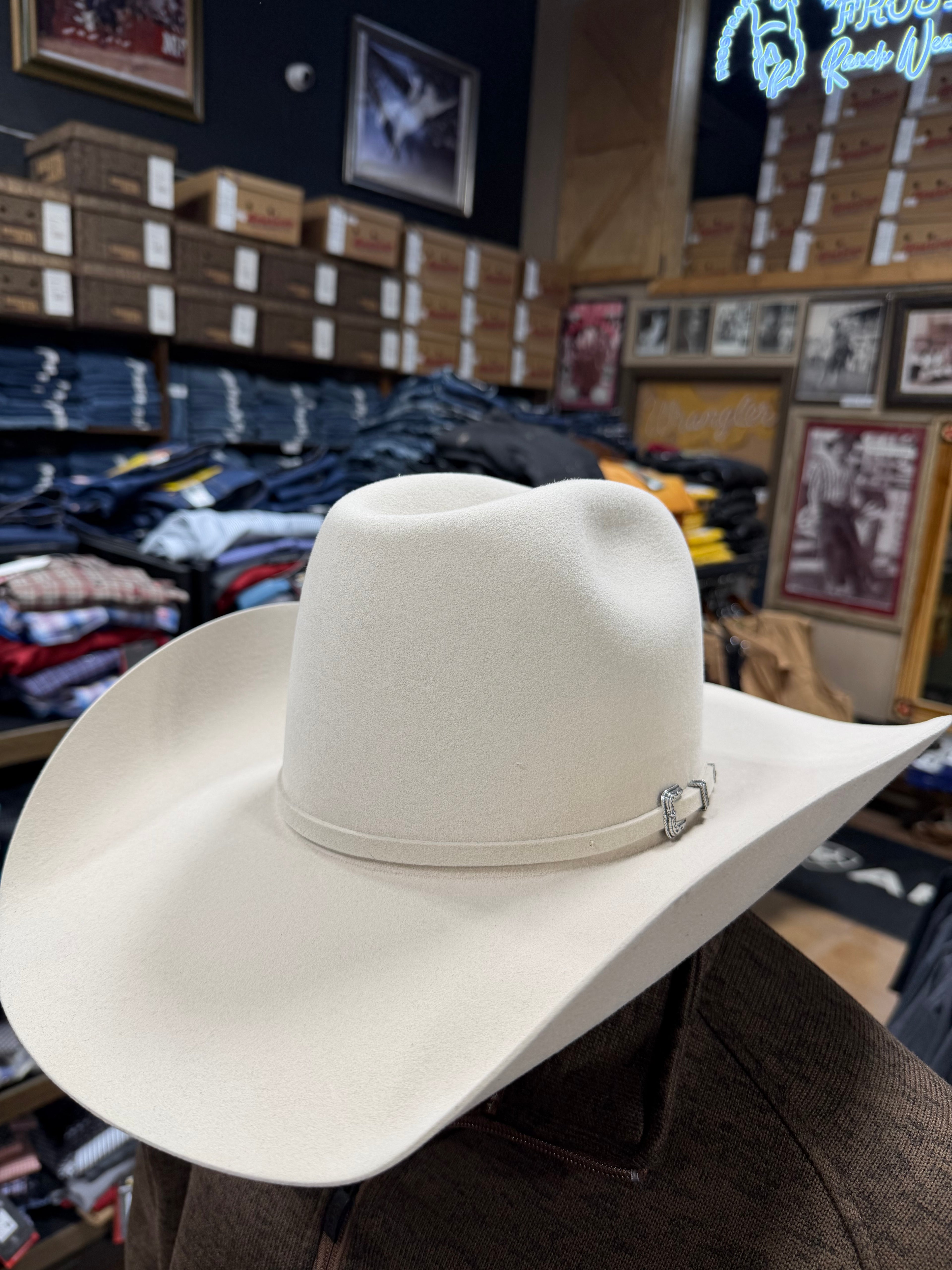 American 10X Silverbelly