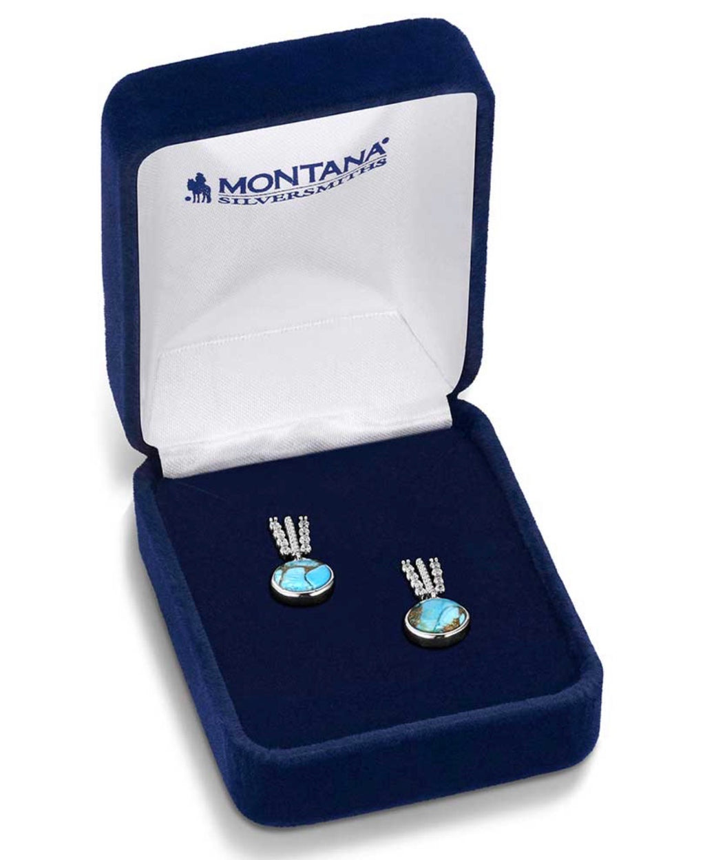 Trailing Turquoise Earrings