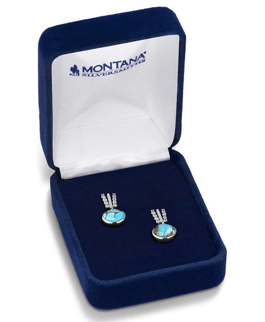 Trailing Turquoise Earrings