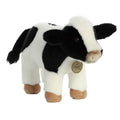 Holstein Calf