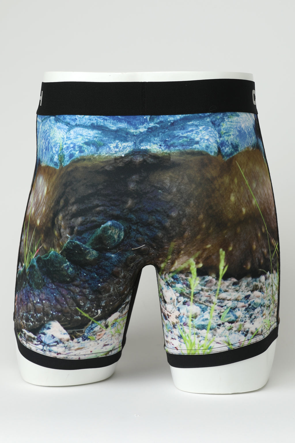 Turtle Boxer Brief