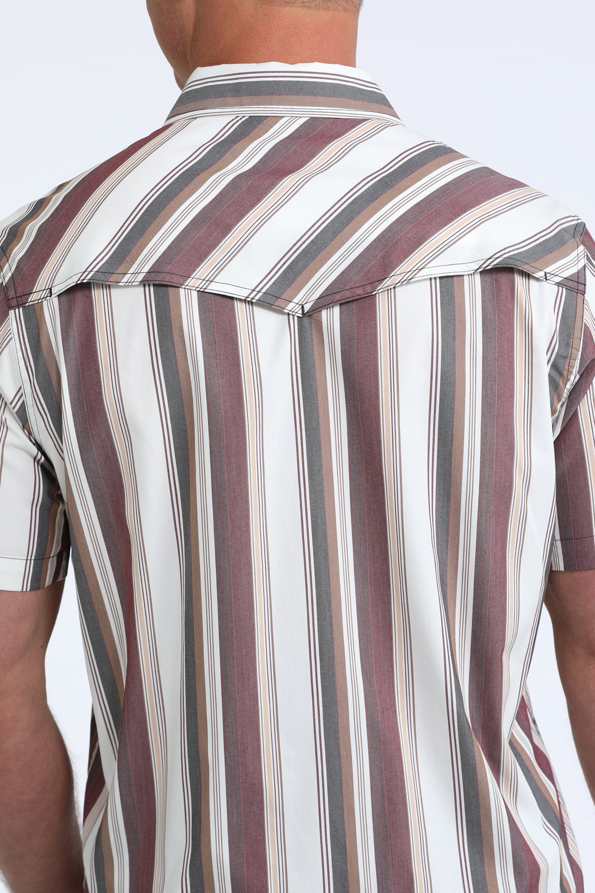 Dusty Mesa Snap Shirt