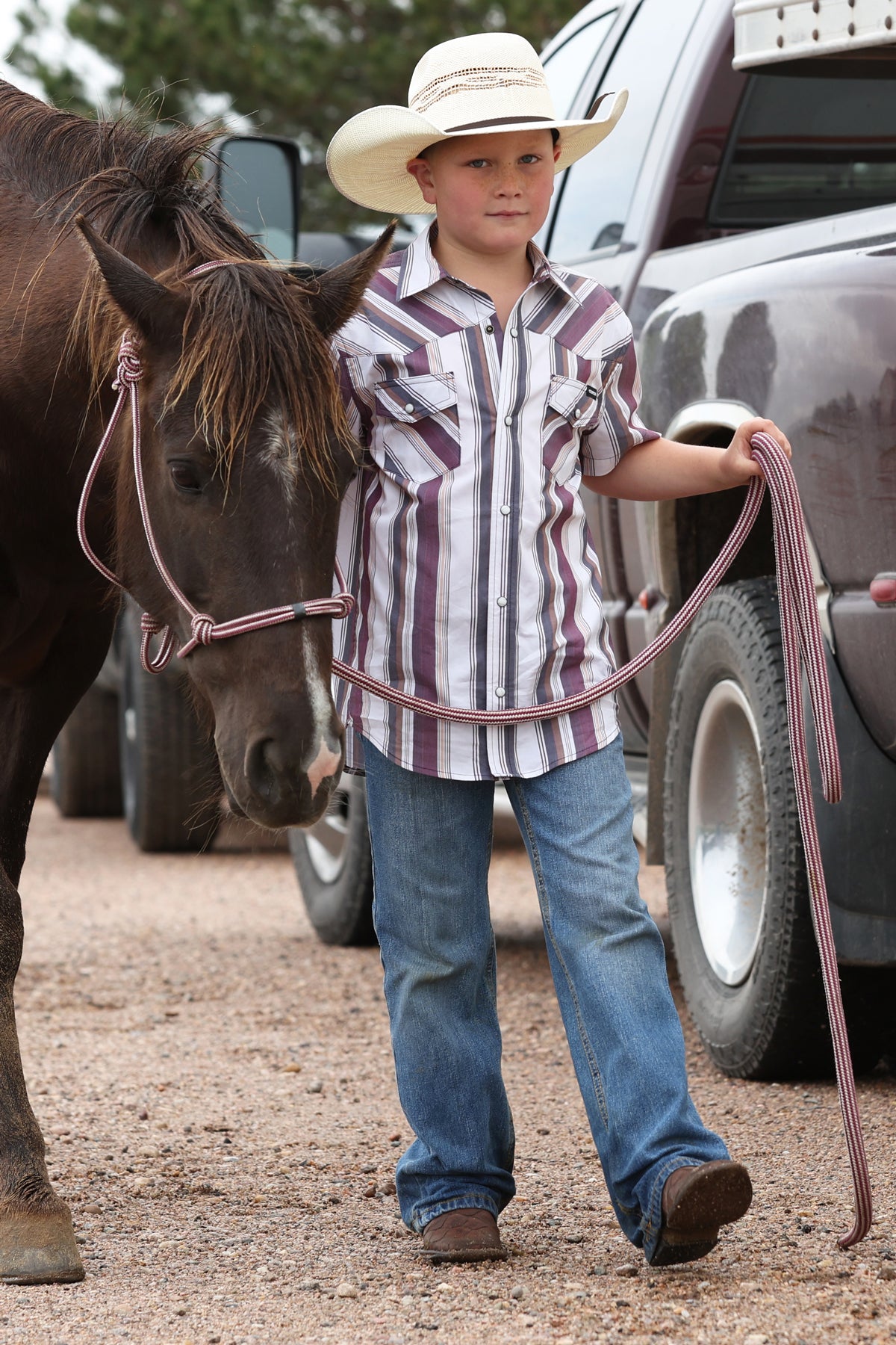 Dusty Plum Stripe Short Sleeve Snap Shirt
