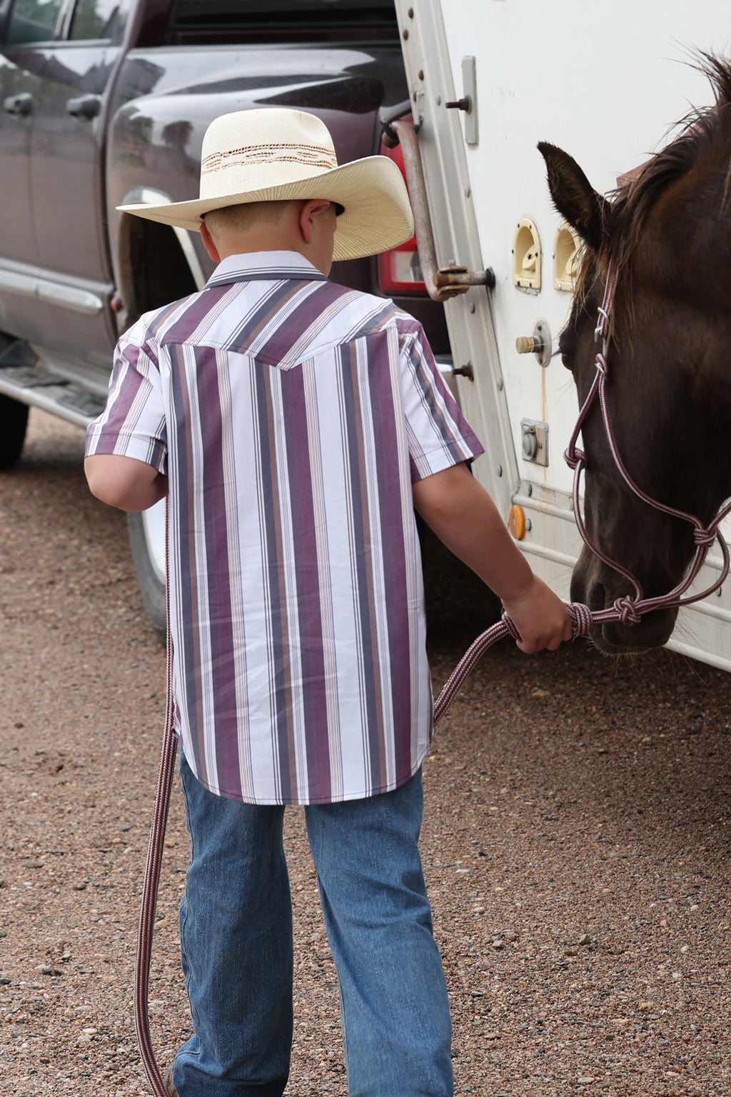 Dusty Plum Stripe Short Sleeve Snap Shirt