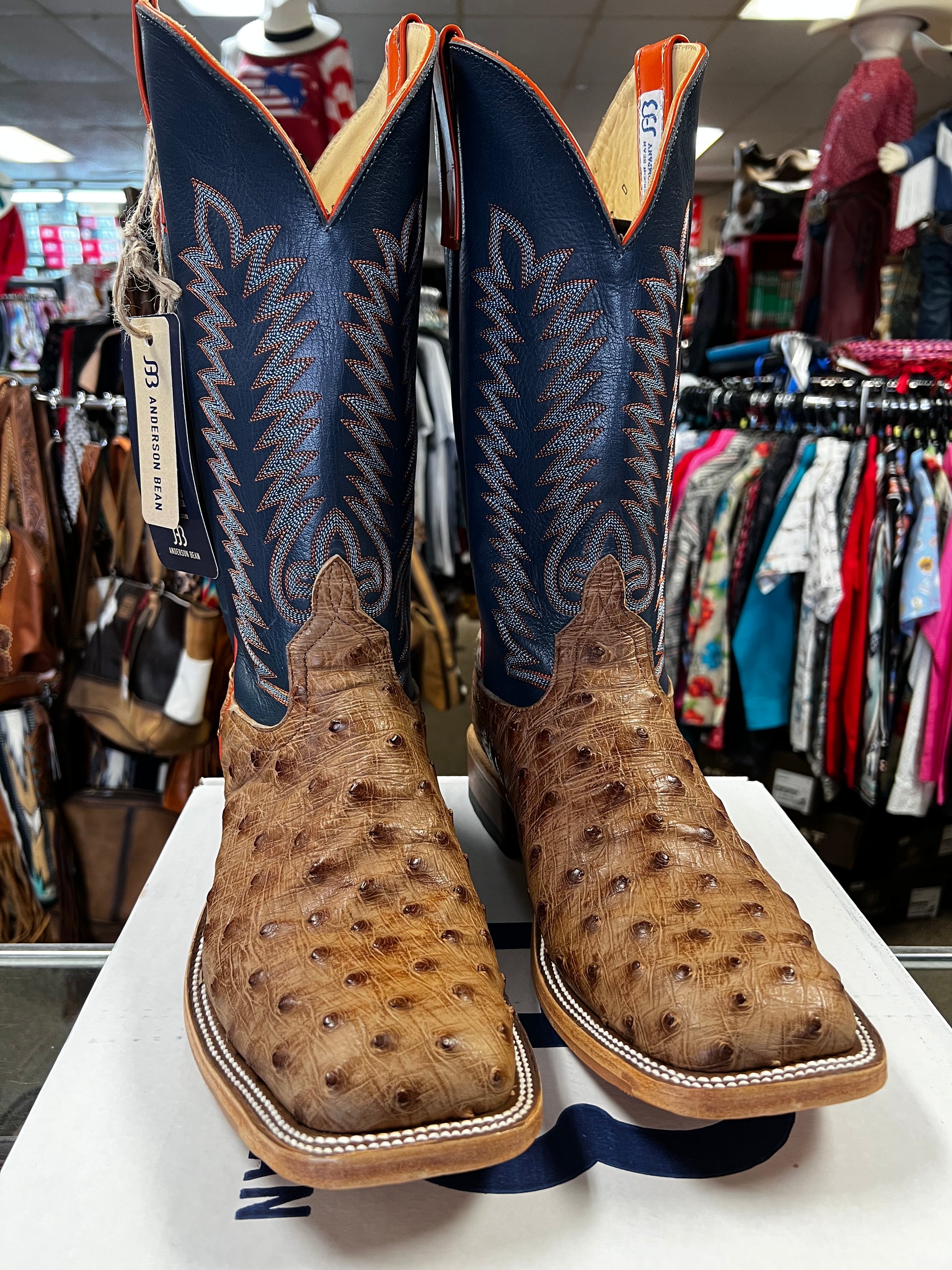 Anderson bean full quill 2025 ostrich