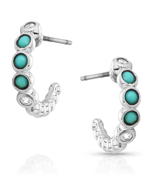 Turquoise Tranquility Crystal Earrings (ER5648)