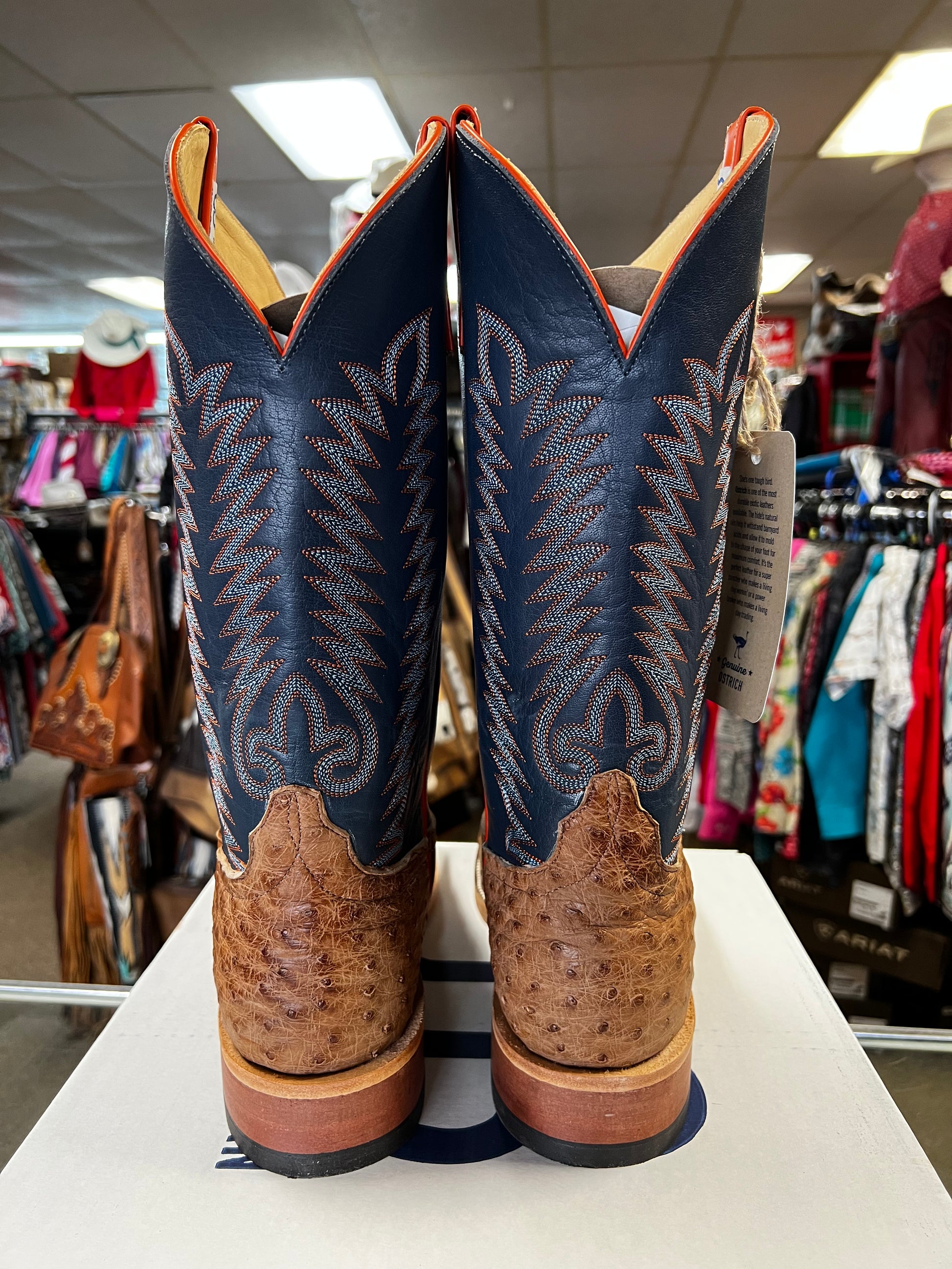 Anderson Bean S3000 Anderson Bean Brandy Bruciato Ostrich (s3016) – Frost Ranch Wear