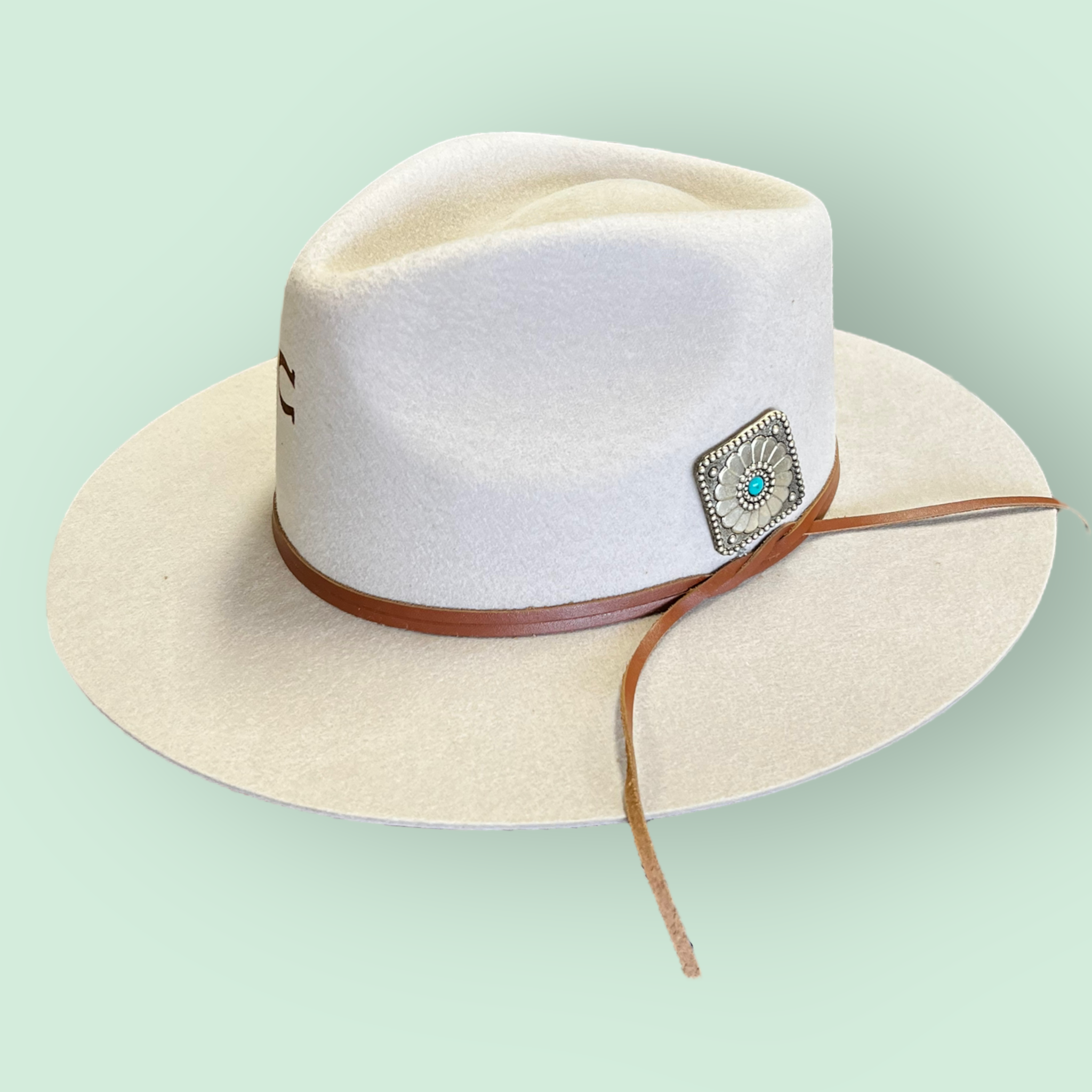 Charlie 1 Horse Lone Butte