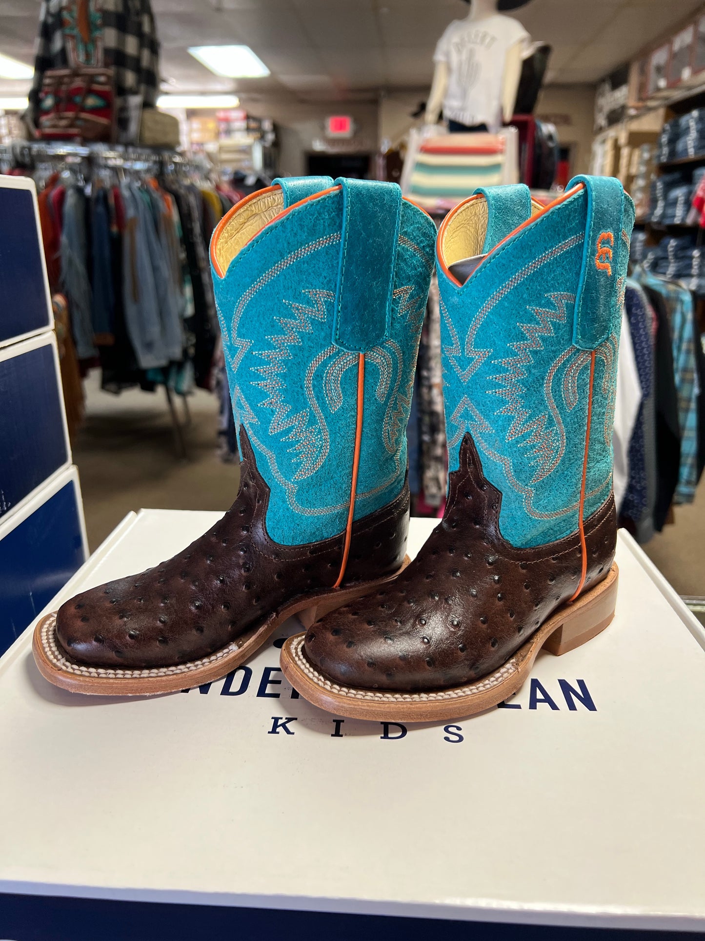Anderson Bean Turquoise & Chocolate Ostrich Print Kids Boots (7083)