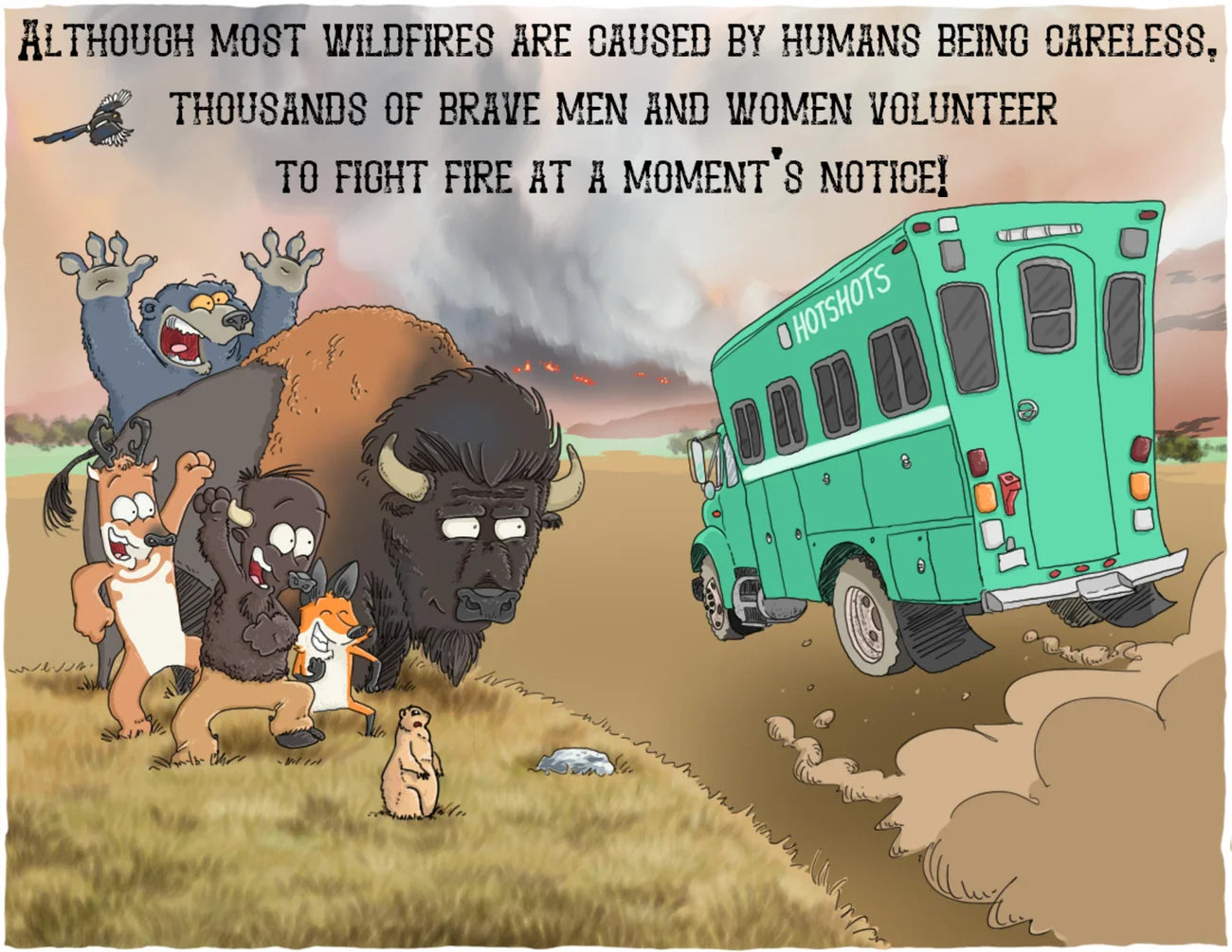 Ace the Bison Book 2 Wildfire!