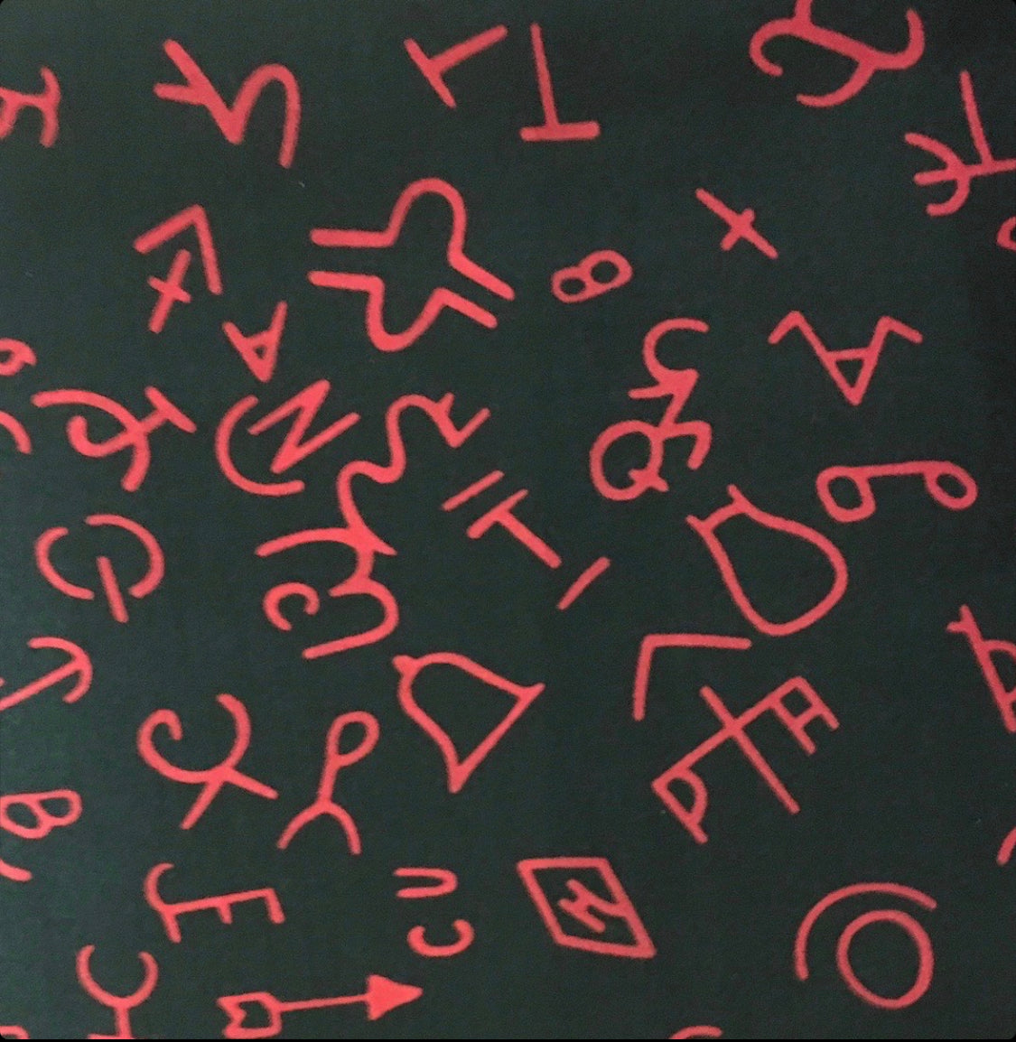 Wyoming Traders Brand Wildrags