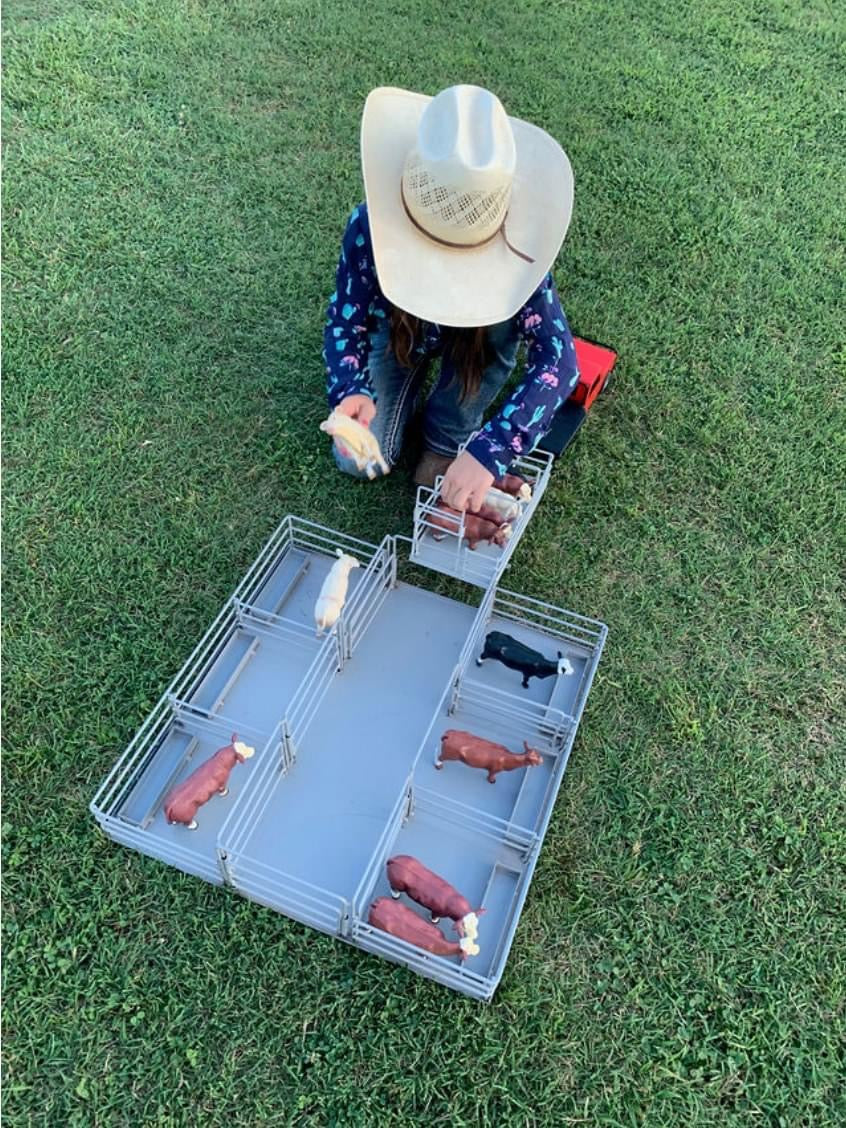 Little Busters Feedlot