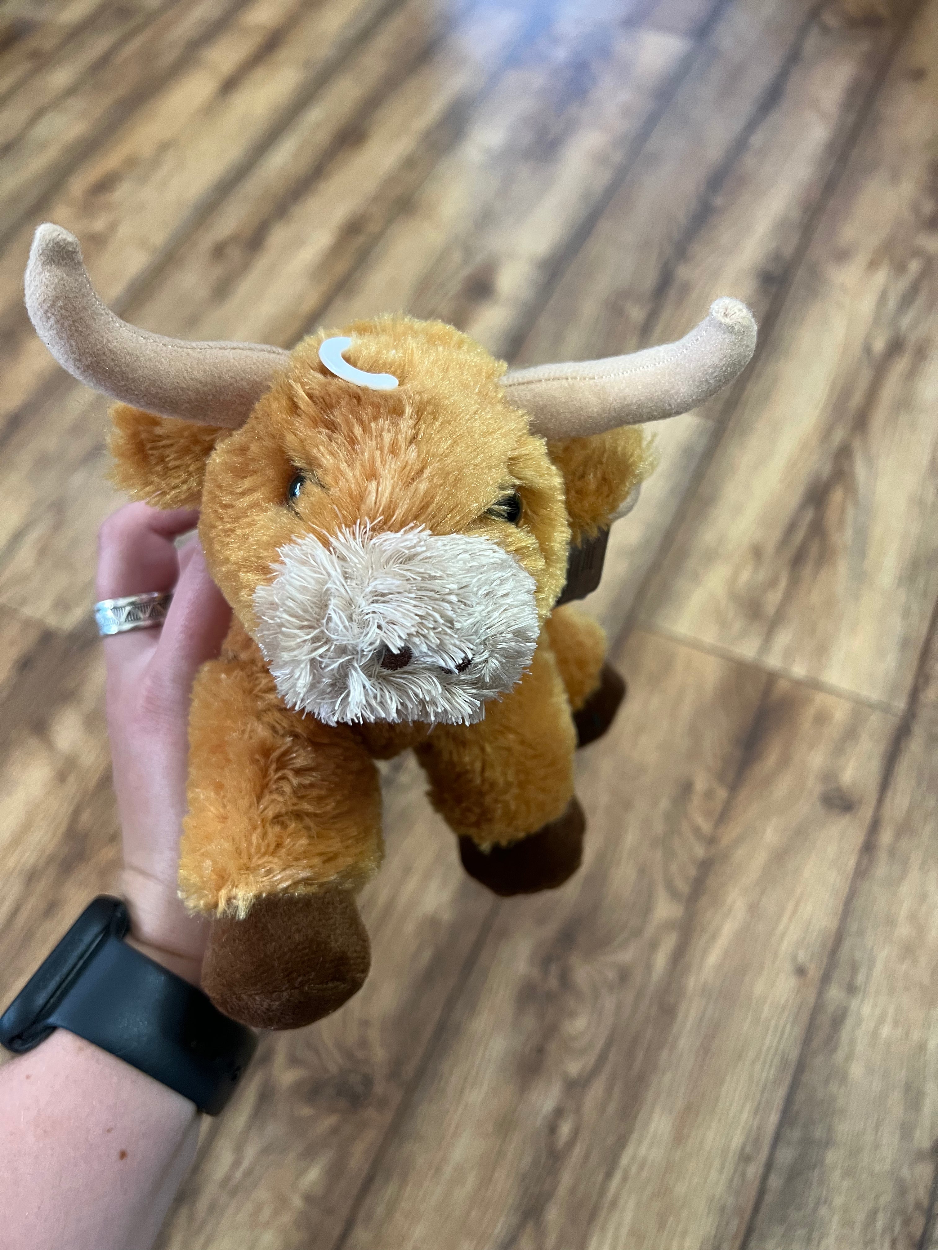 Austin Accents Mini Toro LongHorn