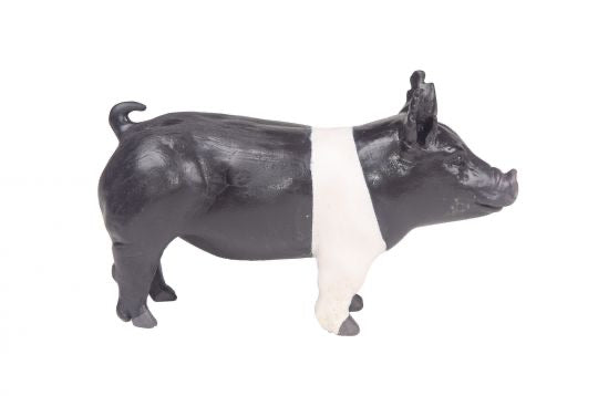 Champion Hampshire Show Pig Toy