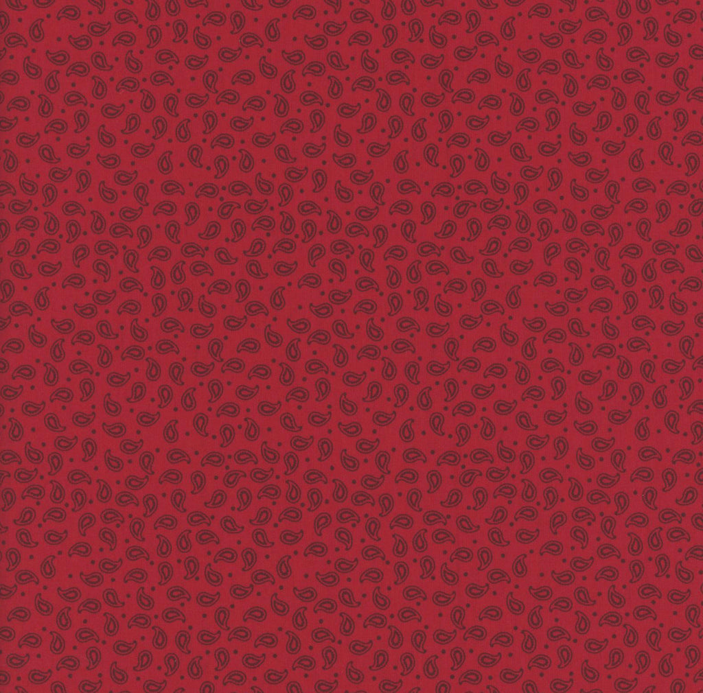 Boys Classic Long Sleeve Shirt - Red (8974)