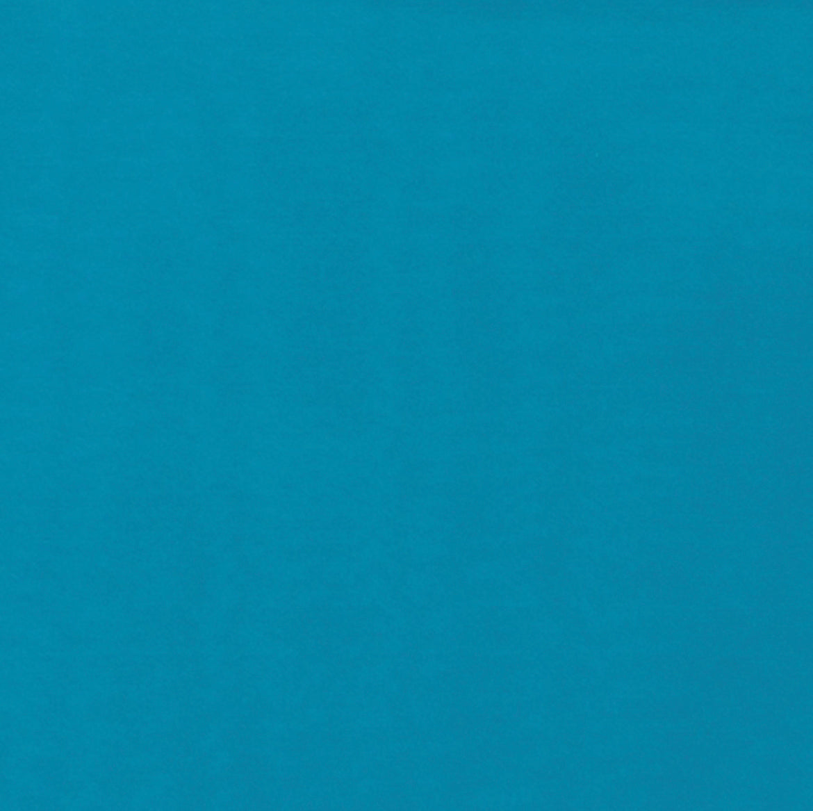 Wyoming Traders Solid Wildrag