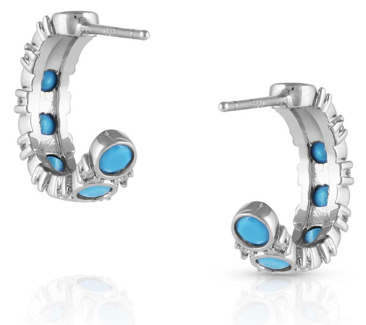 Blue Moon Crystal Earrings (er5509)