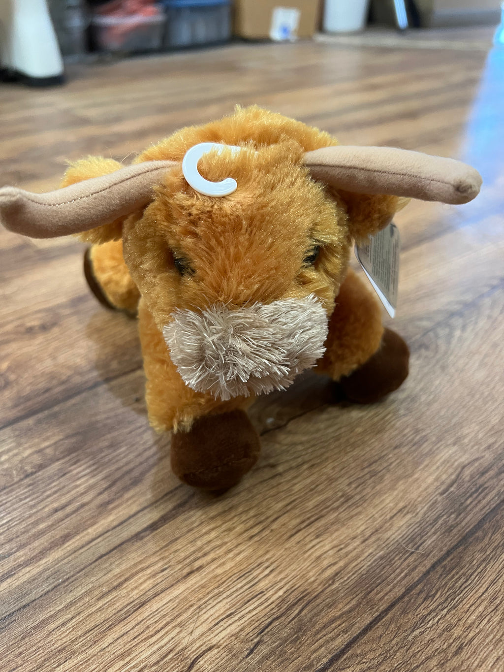 Austin Accents Mini Toro LongHorn