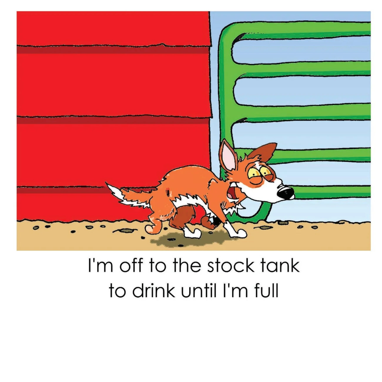 Roadie the Ranch Dog #1