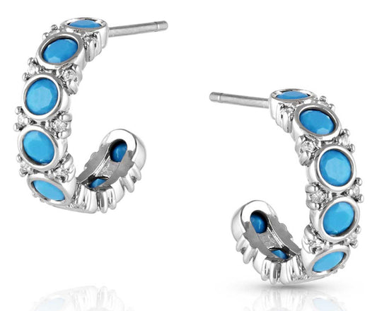 Blue Moon Crystal Earrings (er5509)