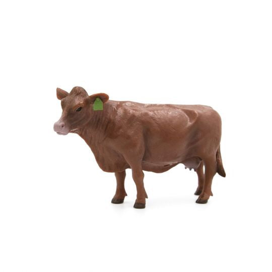 Little Busters Red Angus Cow